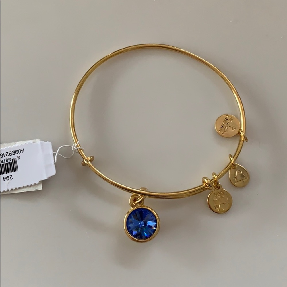 Alex and Ani bracelet